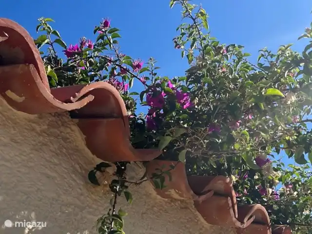 casa paredada en España, Costa Blanca, Albir – Casa Lagarto Jardín en la parte trasera con tumbonas y mesa grande