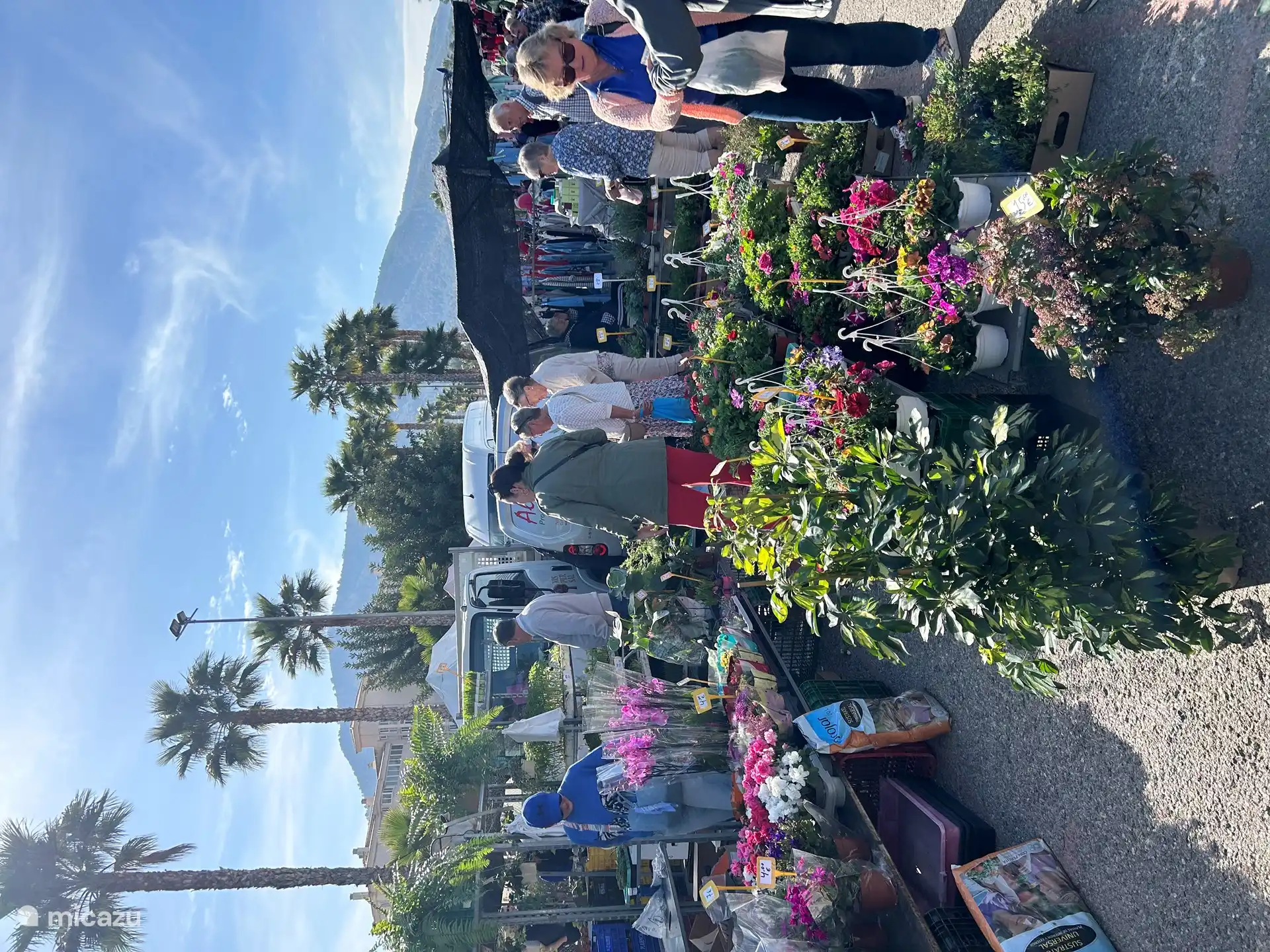 Jeden Sonntag großer Markt in Albir zu Fuß erreichbar