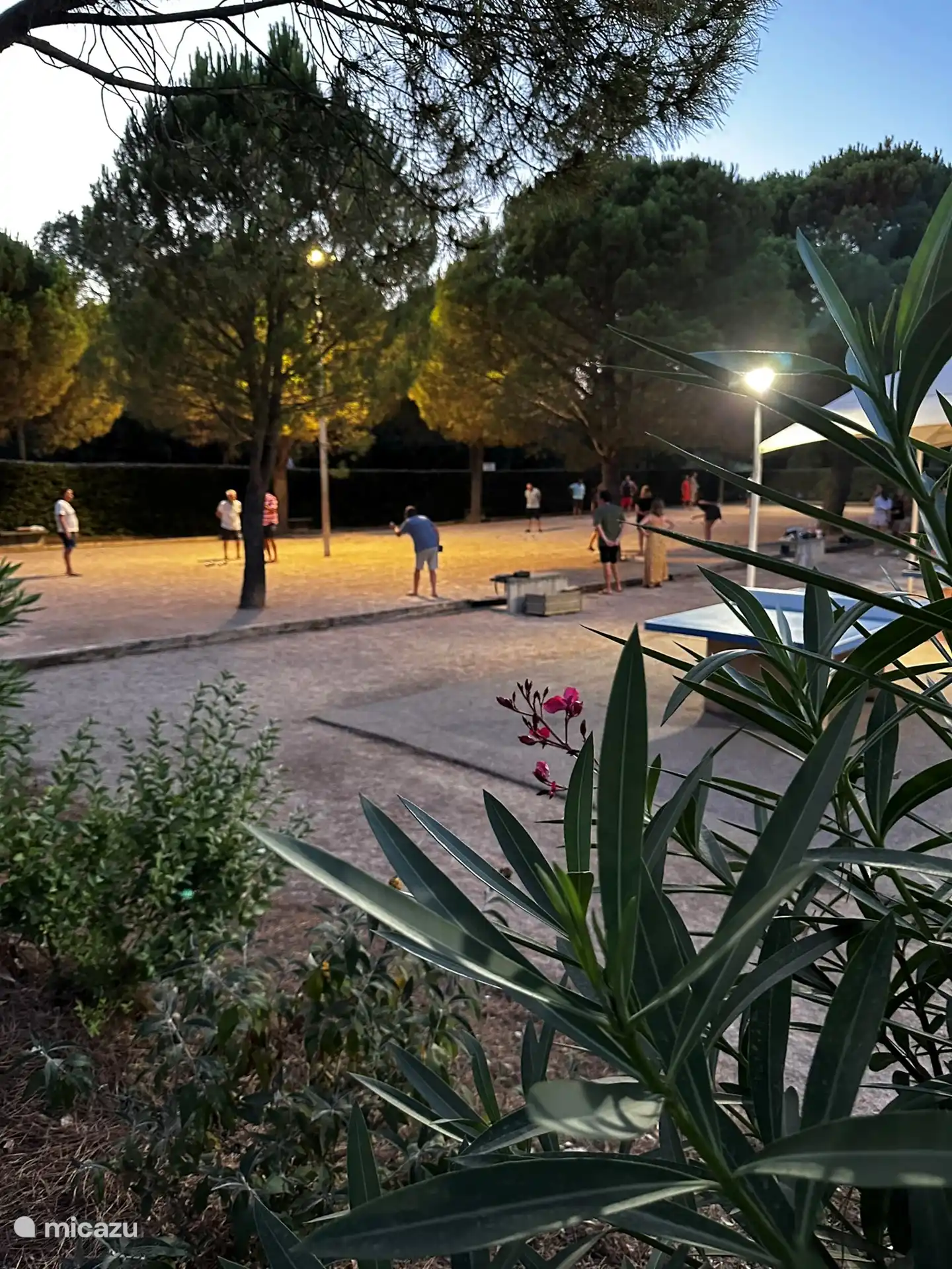 Der Pétanque-Platz