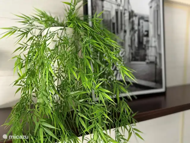 Mlle Jannie France | France, Côte d'Azur, Roquebrune-sur-Argens - chalet Décoration salon