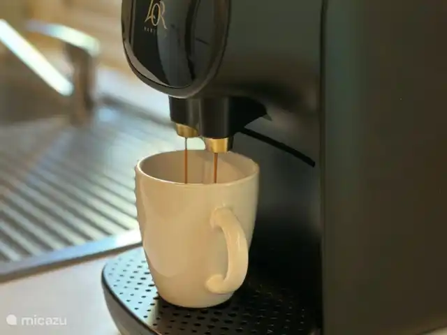 Mlle Jannie France | France, Côte d'Azur, Roquebrune-sur-Argens - chalet Le Nespresso