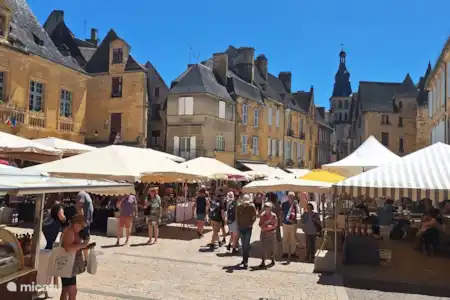 Disfrute de buen gusto en el Périgord Noir