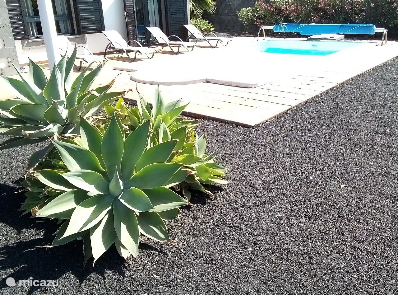 Your Canarian garden with black sand