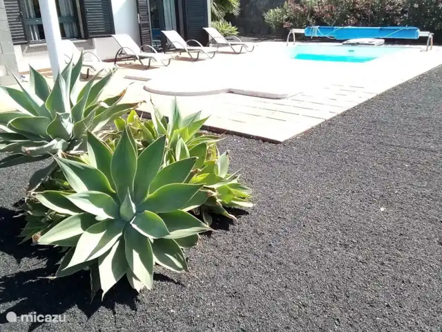 Villa Montana Roja huren in Spanje, Lanzarote, Playa Blanca - villa Je Canarische tuin met zwart zand