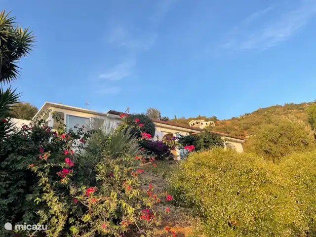 Casa Paraiso d'Oliva huren in Spanje, Andalusië, Sayalonga - vakantiehuis Zicht op casa vanaf de tuin