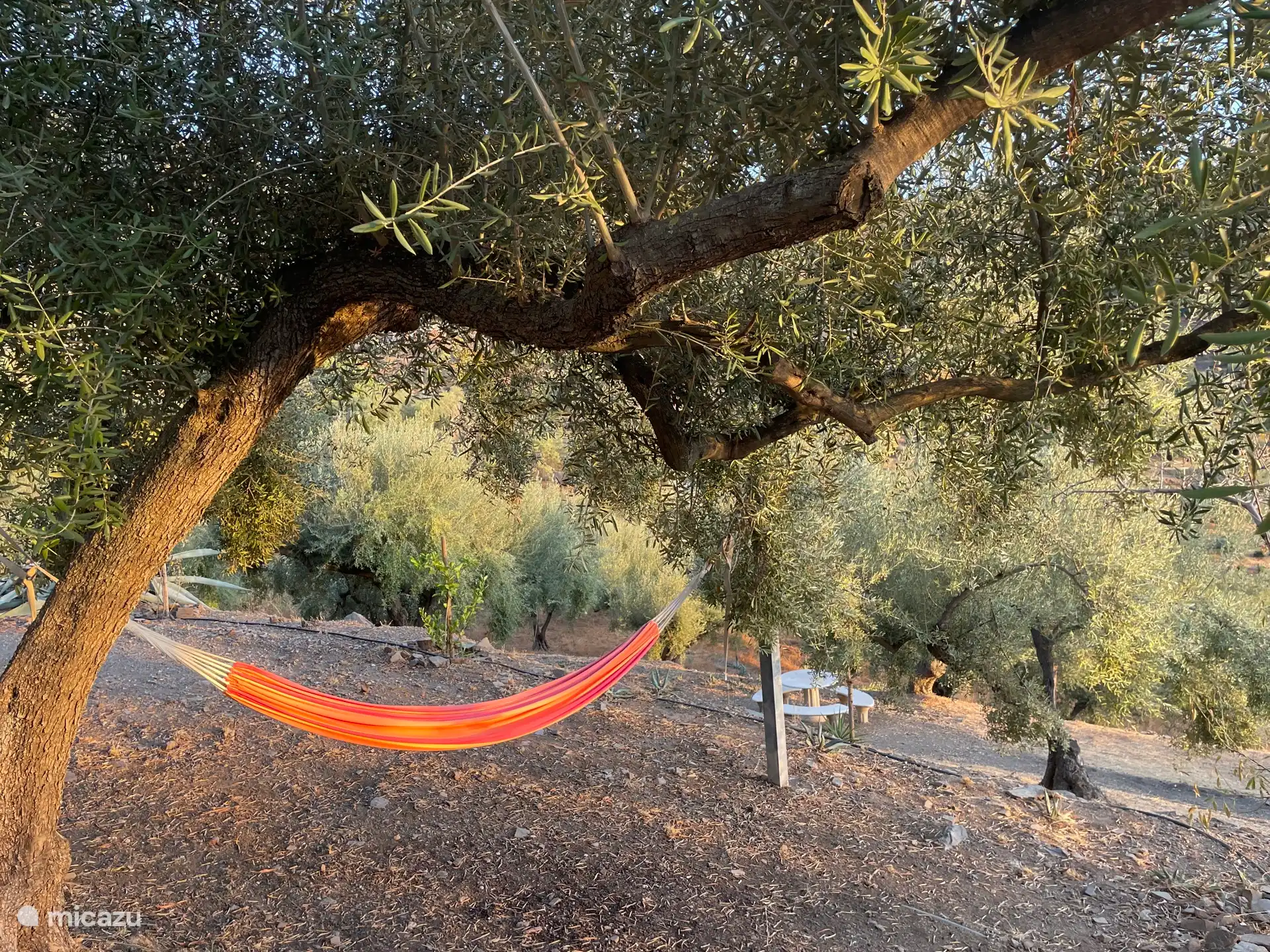Hängematten-Chill-Spot im Olivengarten