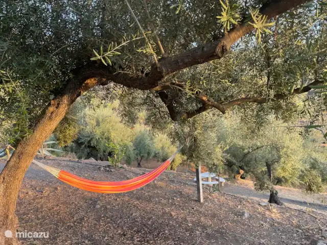 Casa Paraiso d'Oliva huren in Spanje, Andalusië, Sayalonga - vakantiehuis Hangmat chill plek in olijventuin