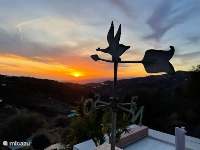 Casa Paraiso d'Oliva huren in Spanje, Andalusië, Sayalonga - vakantiehuis Dakterras voor de mooiste zonsondergangen