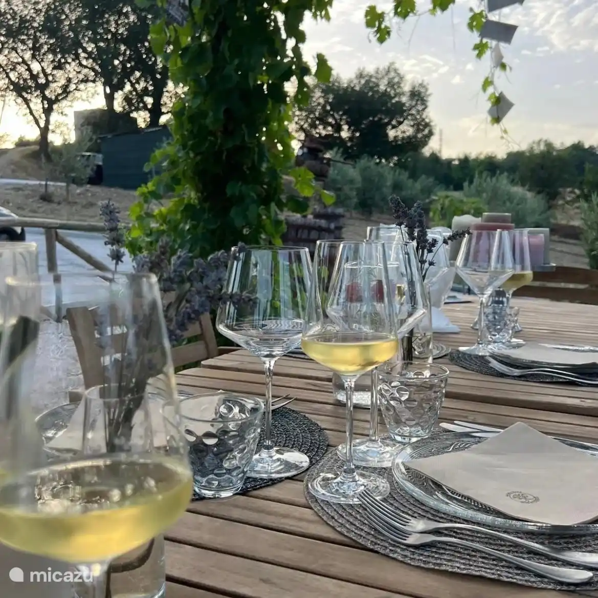 Zwischen den Olivenbäumen steht ein langer Esstisch im Garten mit Blick auf den Pool. 