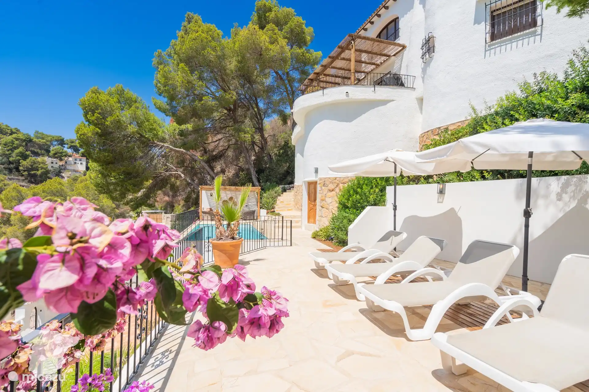 Piscine avec transats