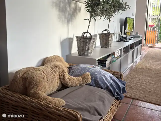 Cortijo el Caracol | Espagne, Andalousie, Viñuela - maison de vacances Un panier pour votre chien