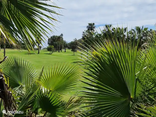 Casa van der Horst | Espagne, Costa Blanca, Dehesa de Campoamor - appartement Parcours de golf de Villamartin