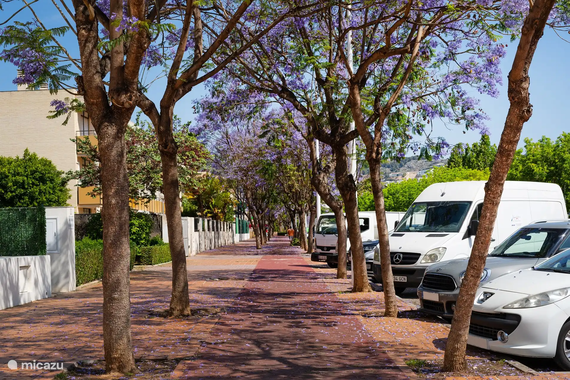 Avenida Augusta, Lage