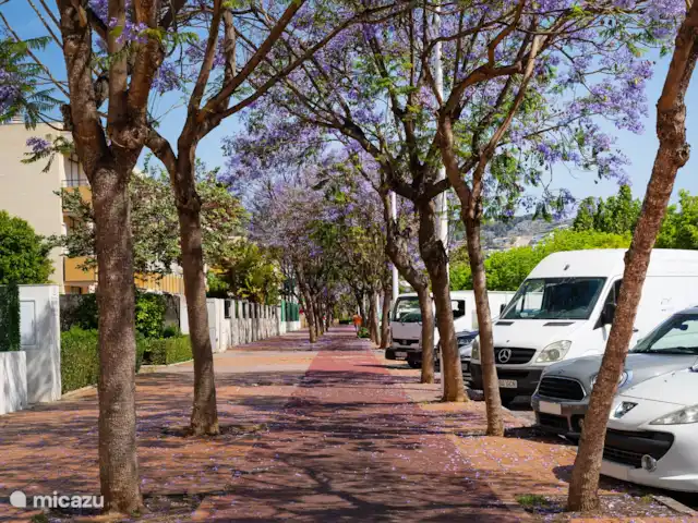Location de Vacances Espagne, Costa Blanca, Jávea, appartement - Ca Bambú Avenida Augusta, emplacement