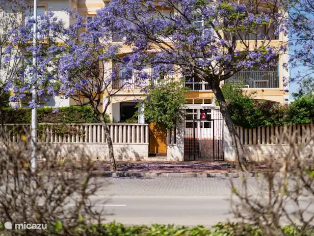 Location de Vacances Espagne, Costa Blanca, Jávea, appartement - Ca Bambú Appartement au rez-de-chaussée