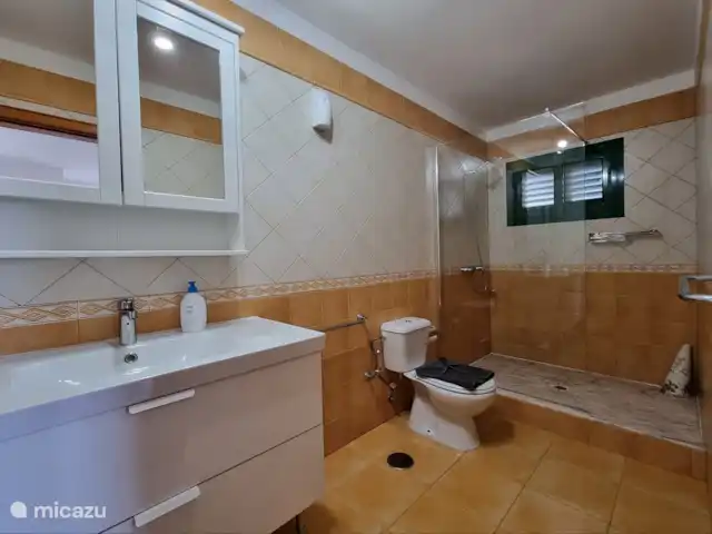 Villa Elsa | Espagne, Lanzarote, Playa Blanca - villa Salle de bain avec douche, lavabo et toilettes.