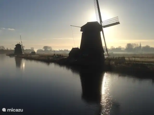 Zout Hout | Pays-Bas, Hollande du Nord, Egmond-Binnen - maison de vacances moulin