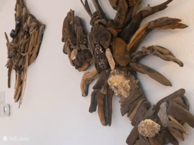 Varado en Países Bajos, Holanda del Norte, Egmond aan Zee - casa vacacional Detalles