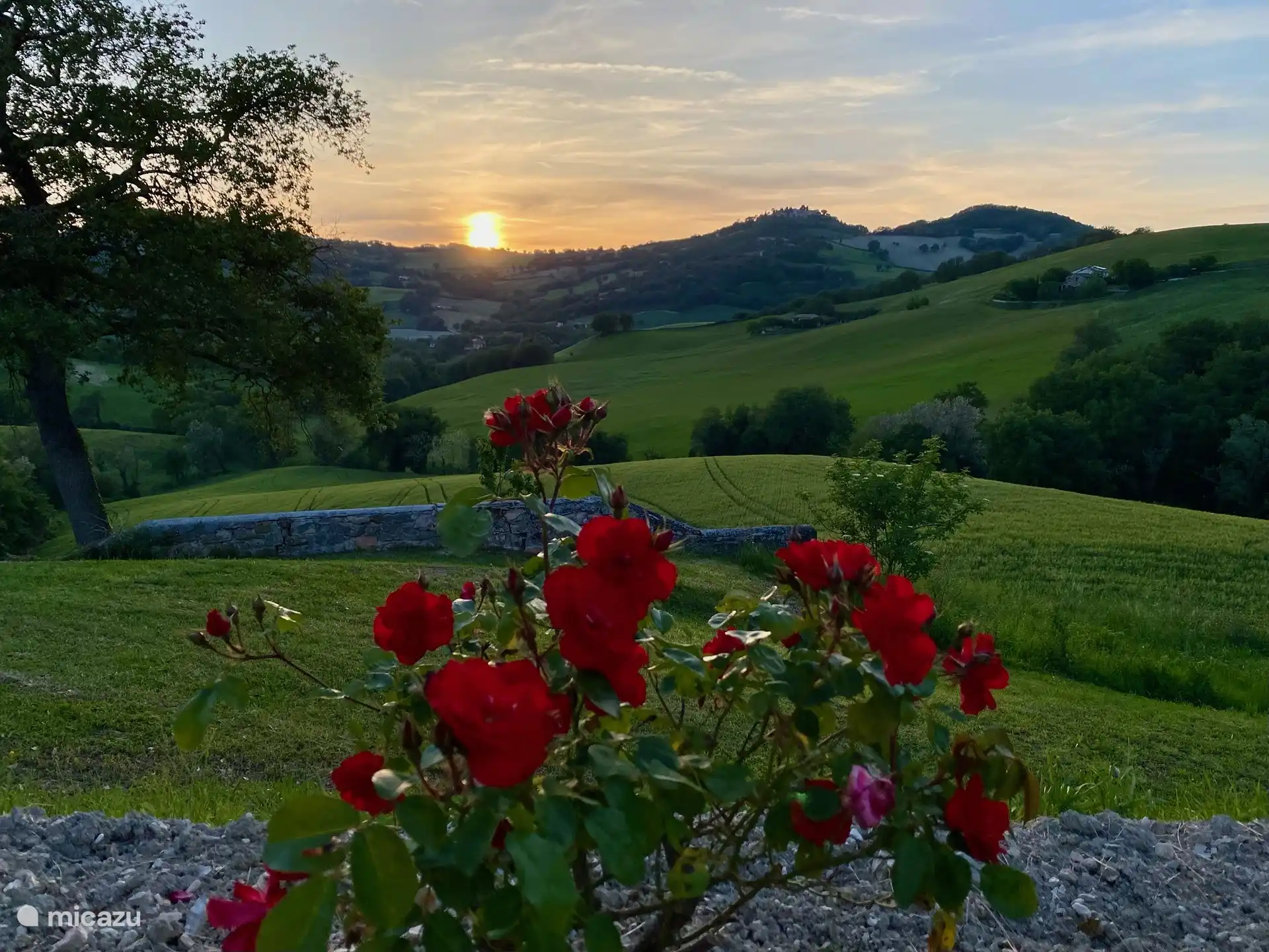 Wunderschöner Sonnenuntergang