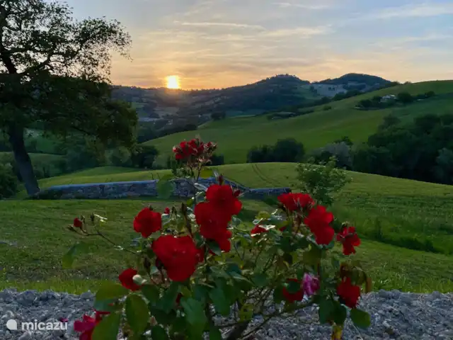 Rosa nel Pozzo - Appartement Rosa huren in Italië, Marche, Arcevia - appartement Prachtige zonsondergang