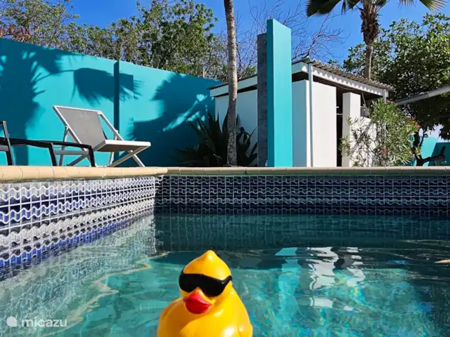 Villa Turquesa Curaçao en Curazao, Banda Arriba (este), Montaña Abou - villa Piscina