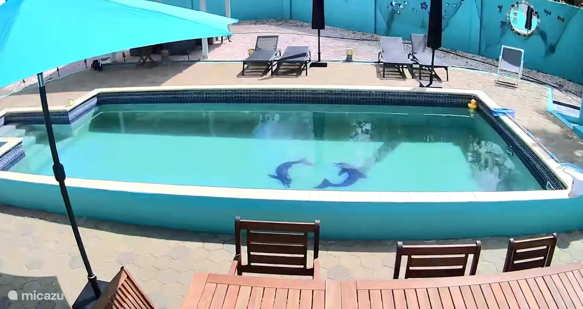 Spacious swimming pool with sunbeds and lounge chairs.