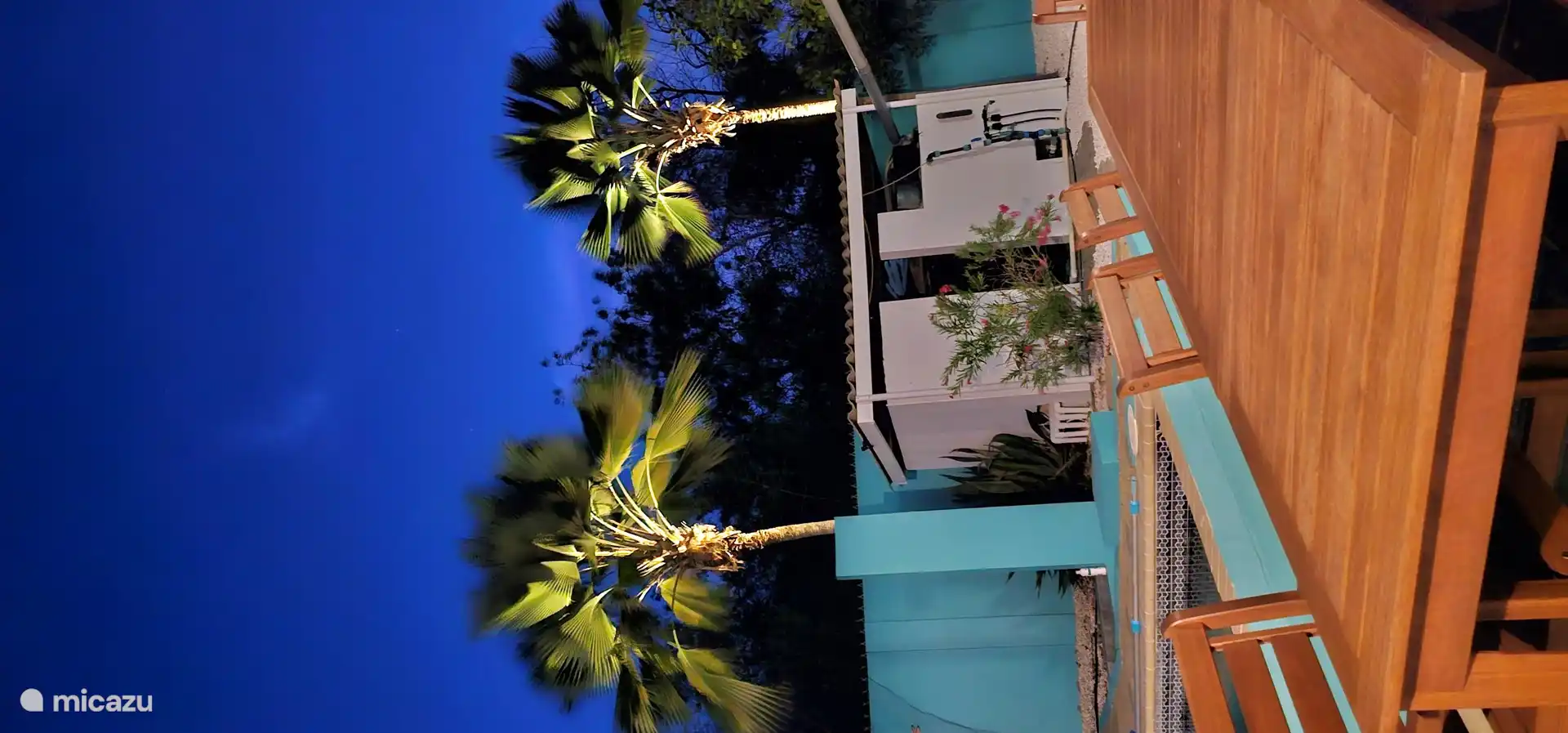 Attractive garden with palm trees.