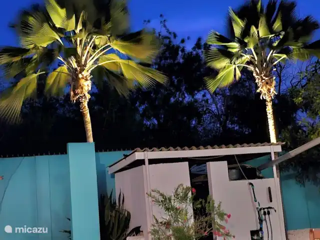 Villa Turquesa Curaçao en Curazao, Banda Arriba (este), Montaña Abou - villa Atractivo jardín con palmeras.