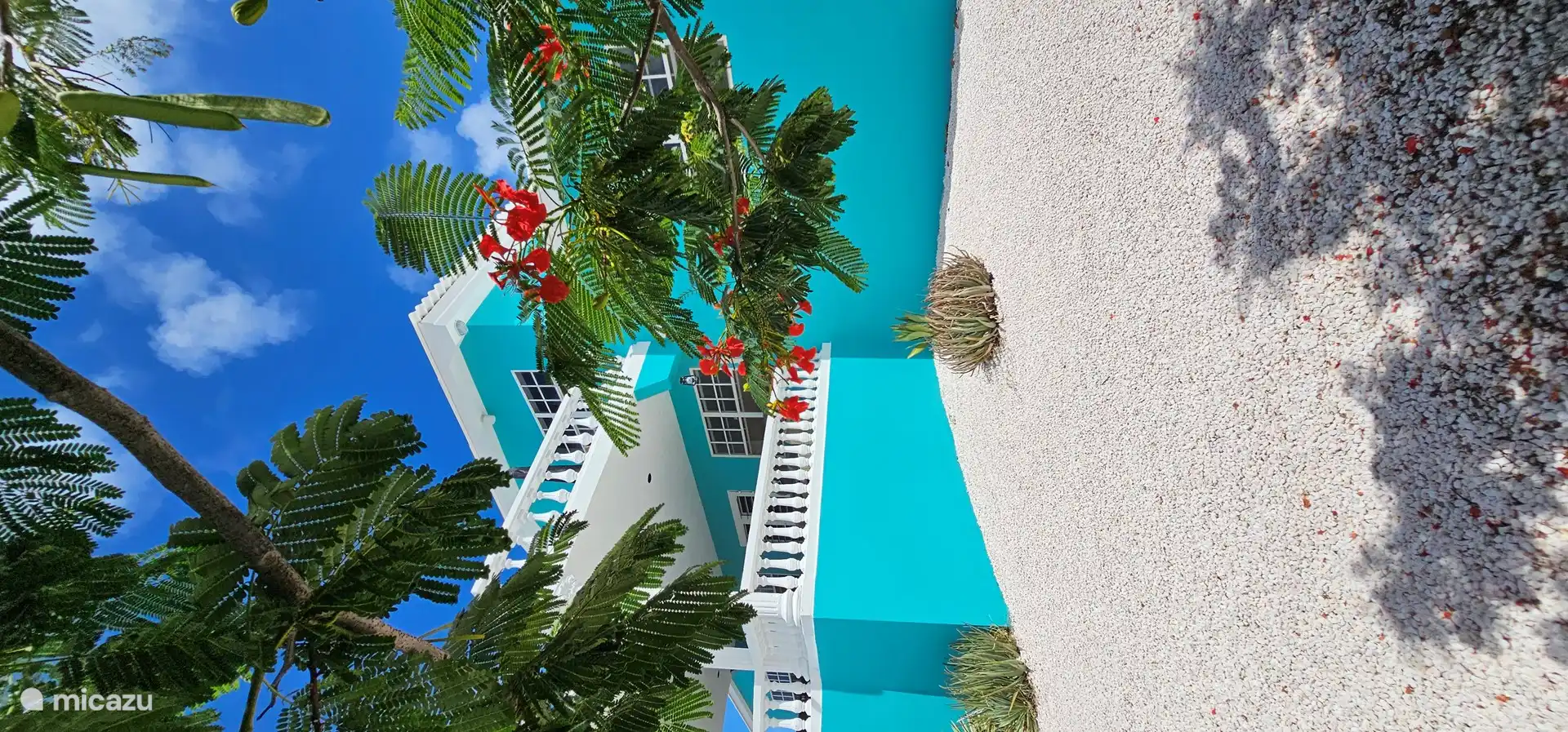 Beautiful large garden with palm trees, mango trees and a red flamboyant.
