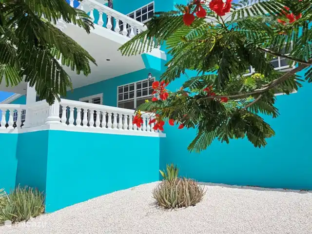 Villa Turquesa Curaçao en Curazao, Banda Arriba (este), Montaña Abou - villa Hermoso jardín grande con palmeras, árboles de mango y un flamboyán rojo.