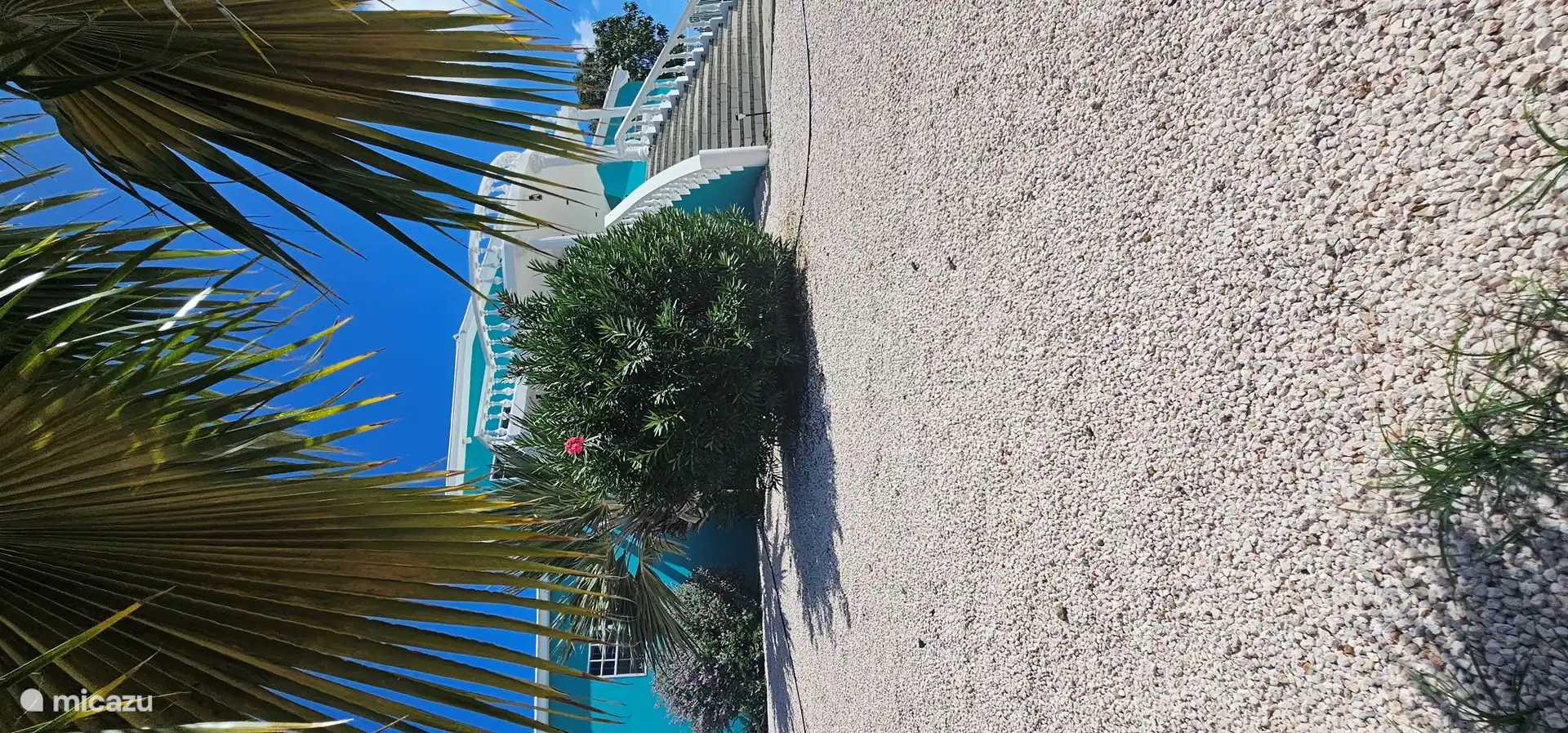 Under the palm trees stands the beautiful Turquoise Villa