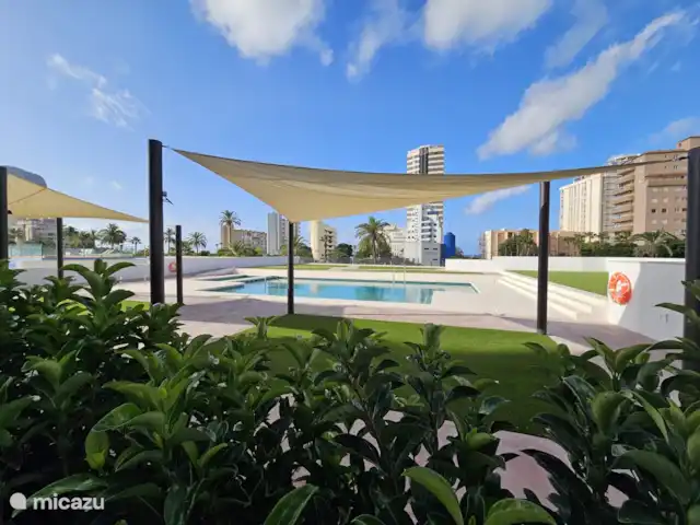 Silvertower Calpe huren in Spanje, Costa Blanca, Calpe - appartement Gemeenschappelijk zwembad