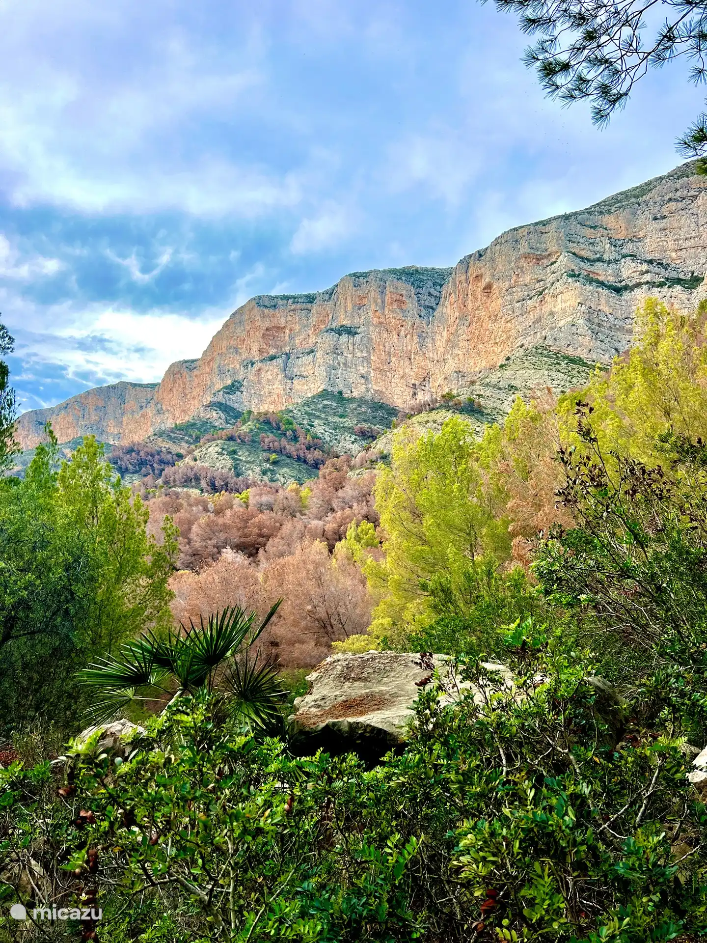 Die Villa befindet sich im Nationalpark. Wenn Sie die Straße hinaufgehen, betreten Sie sofort den Park und können dieses Foto nachstellen.