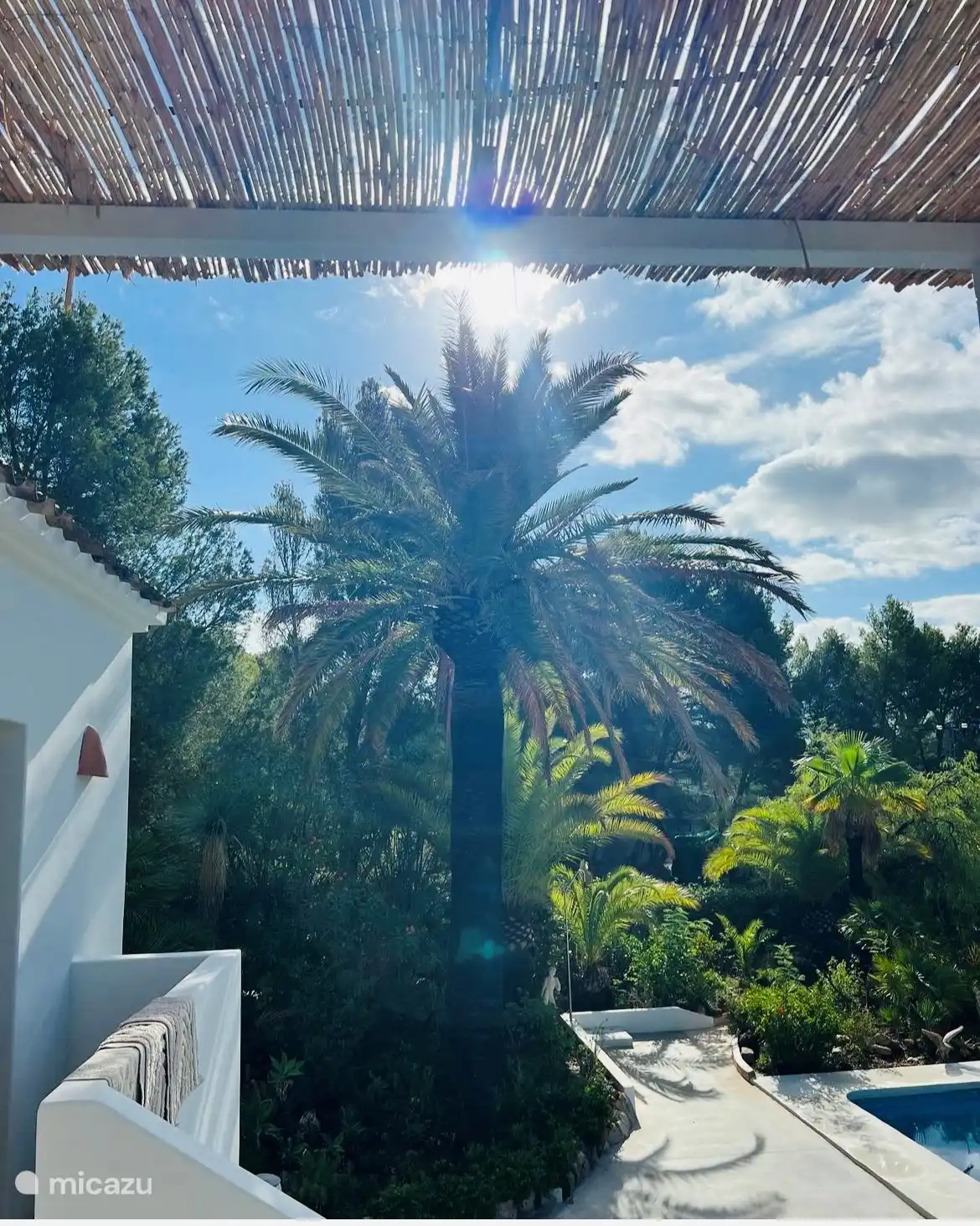 Blick vom Balkon/Terrasse