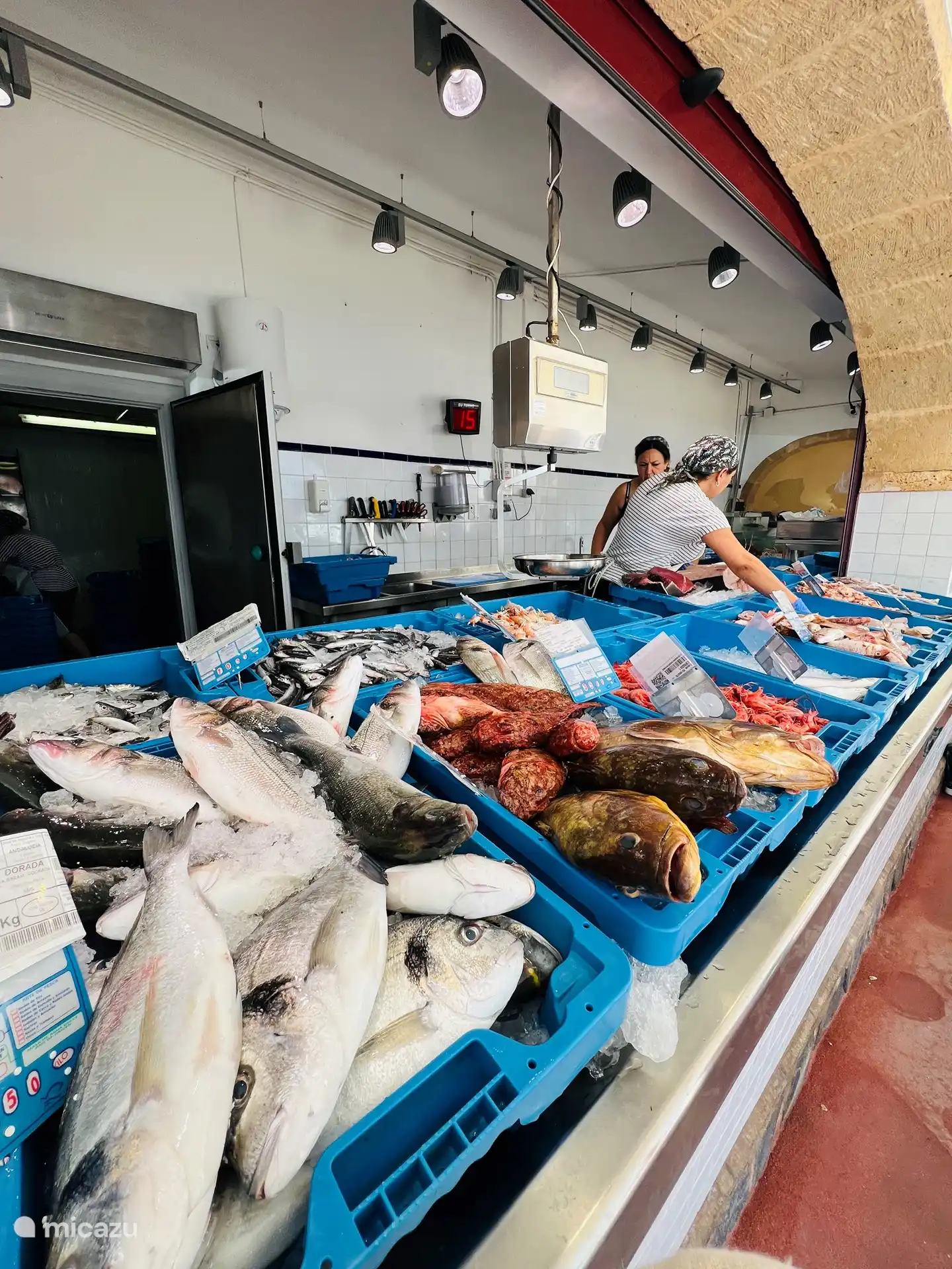 Fischauktion im Hafen von Javea