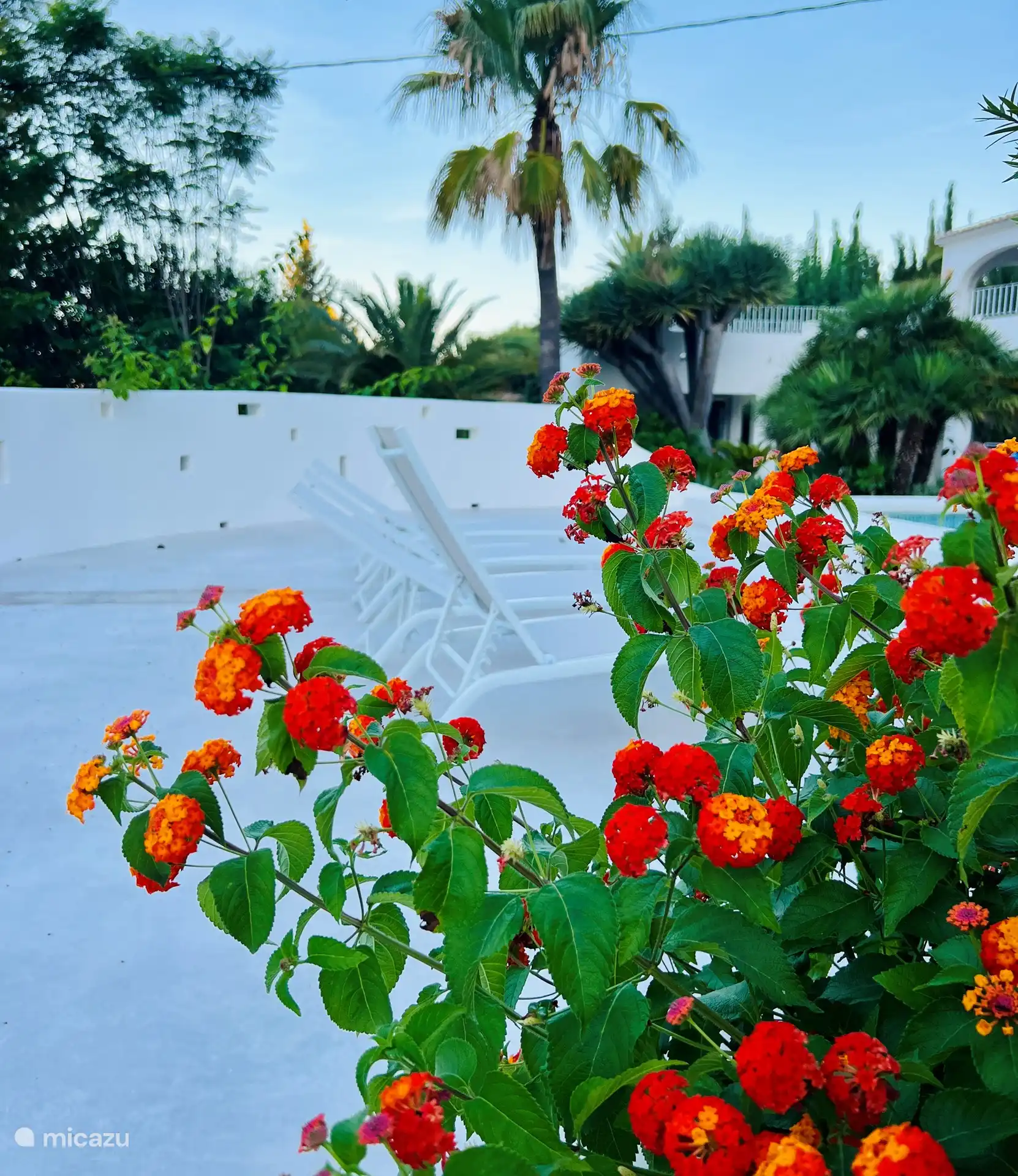 Verschiedene Liegeplätze rund um das Schwimmbad
