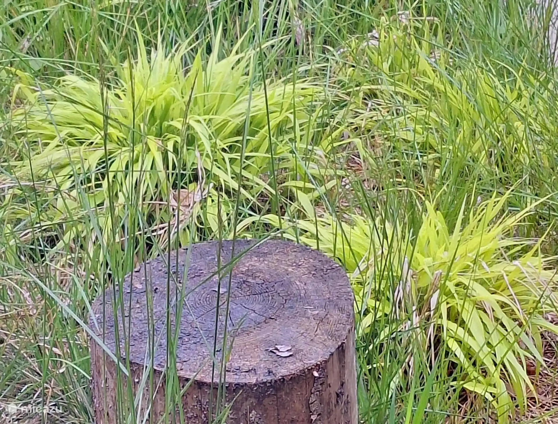 rund um das Bosatelier