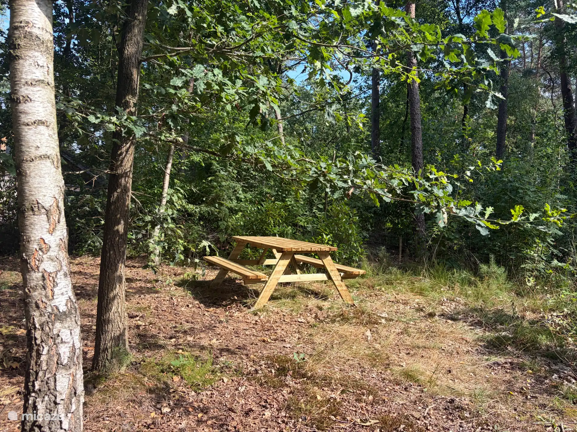 Picknicken in de zijtuin