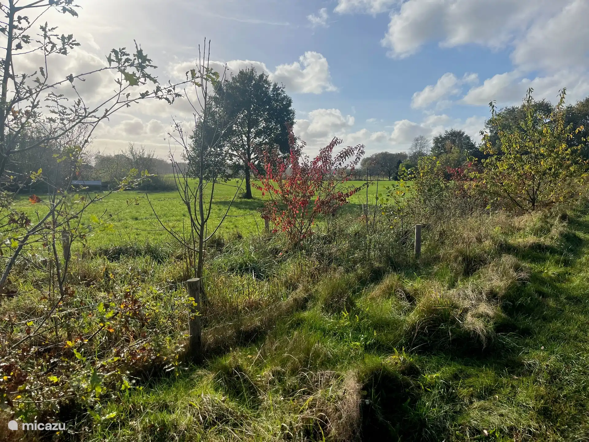 Die schöne Wiese in der Nähe des Hauses