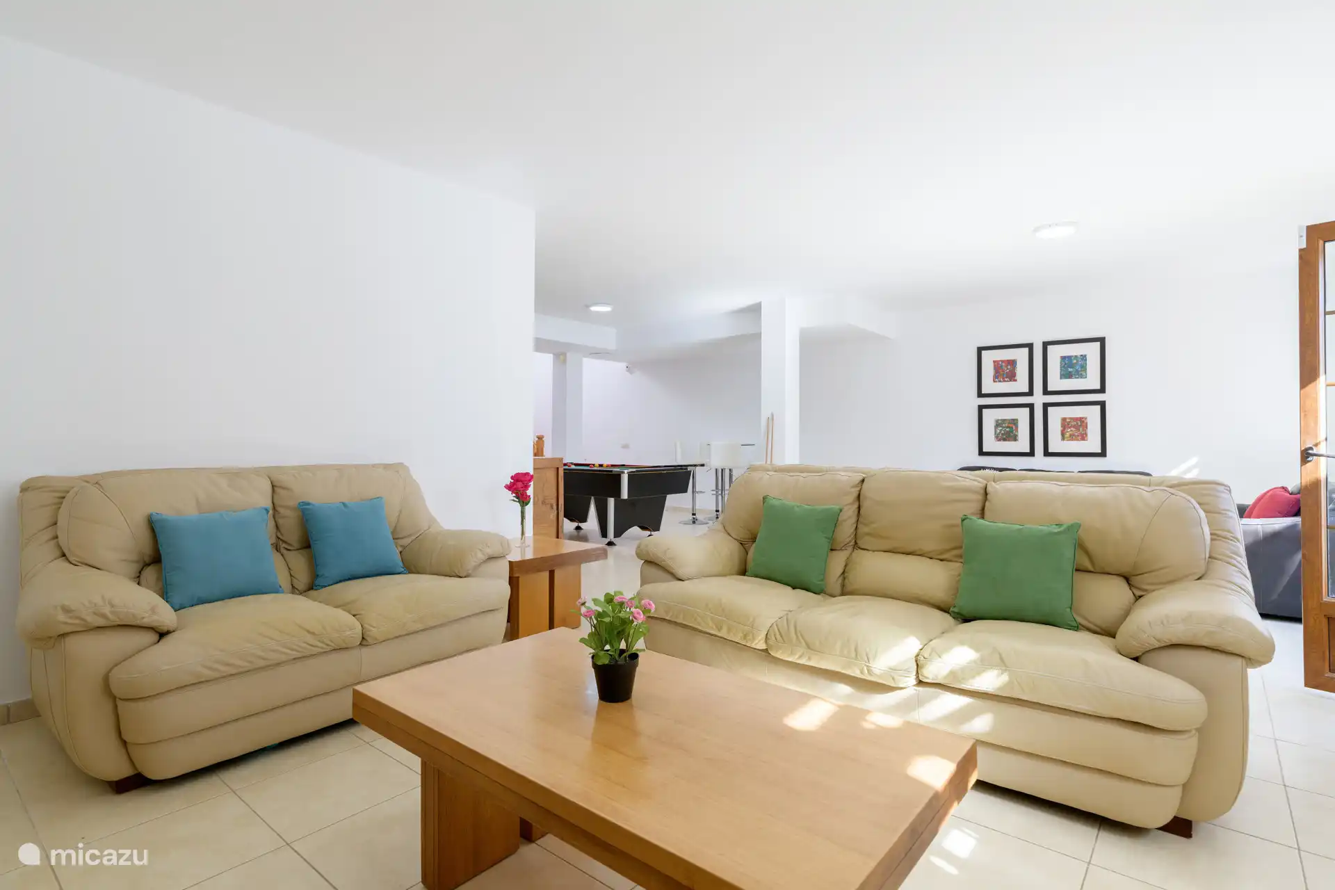 Nice living room with 2 spacious sofas