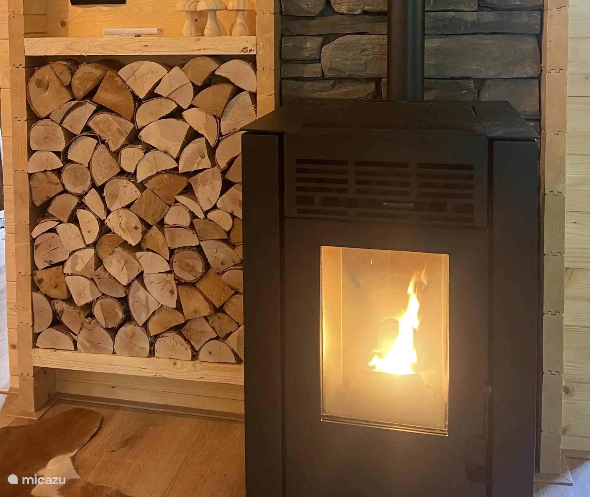 Cheminée à granulés 