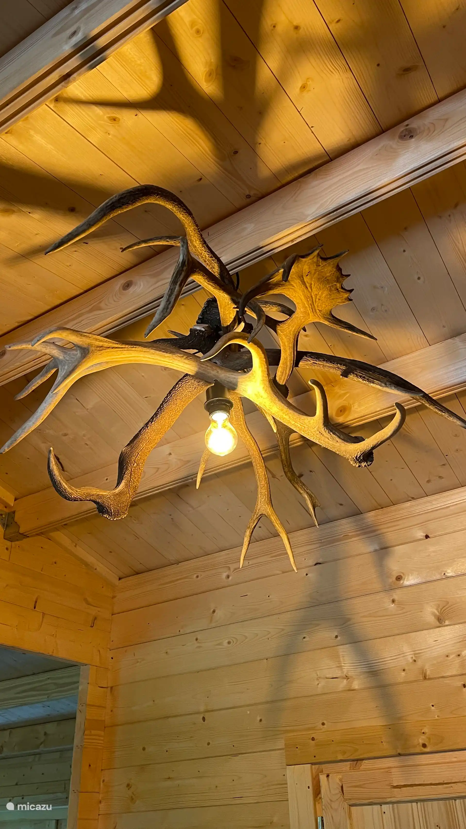 Hallamp fait maison à partir de bois de cerf