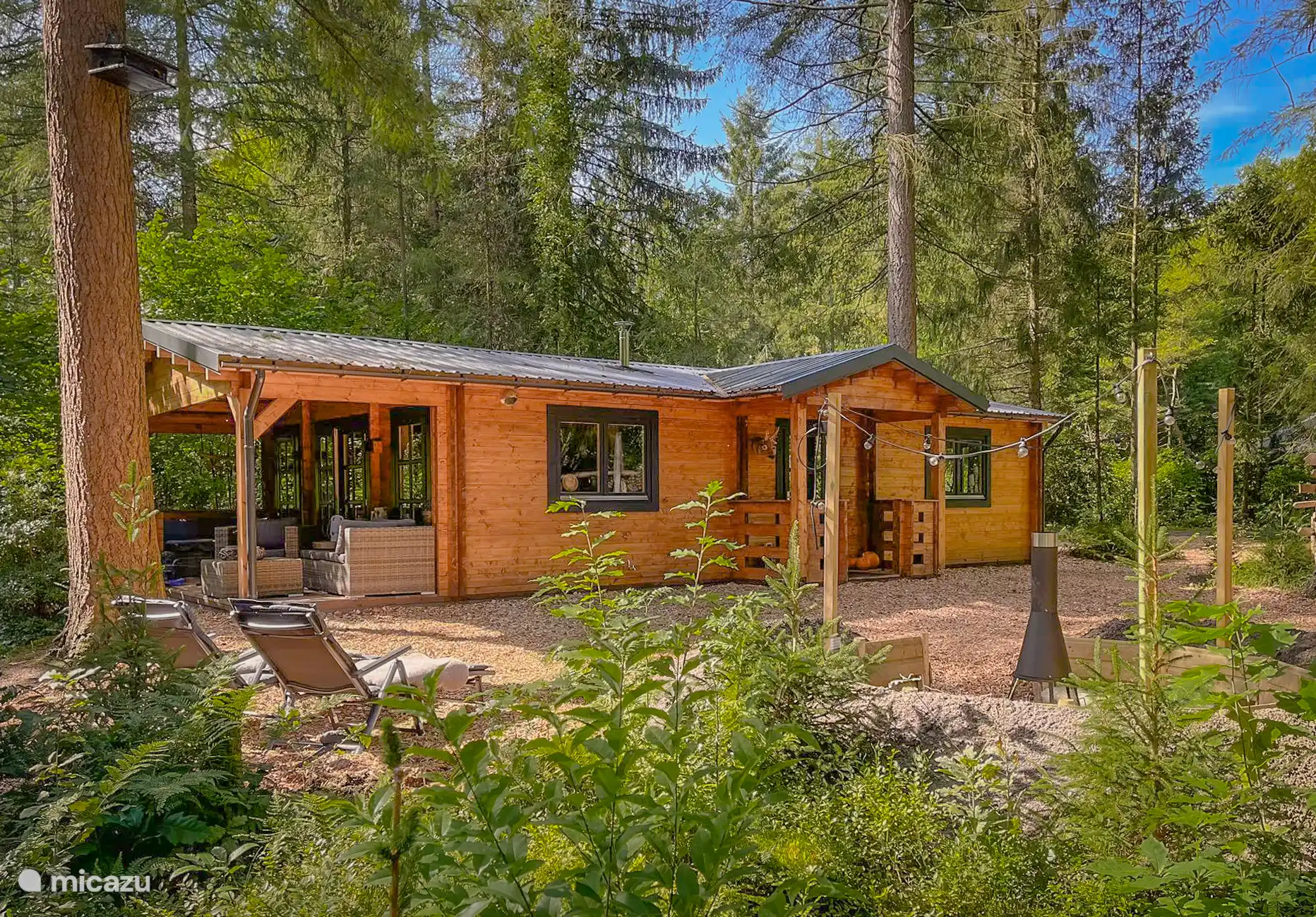 Location de Vacances Veluwe, Pays-Bas, maison de vacances - Woodland Lodge