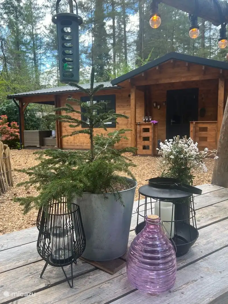 Foto in de tuin vanaf de tuintafel
