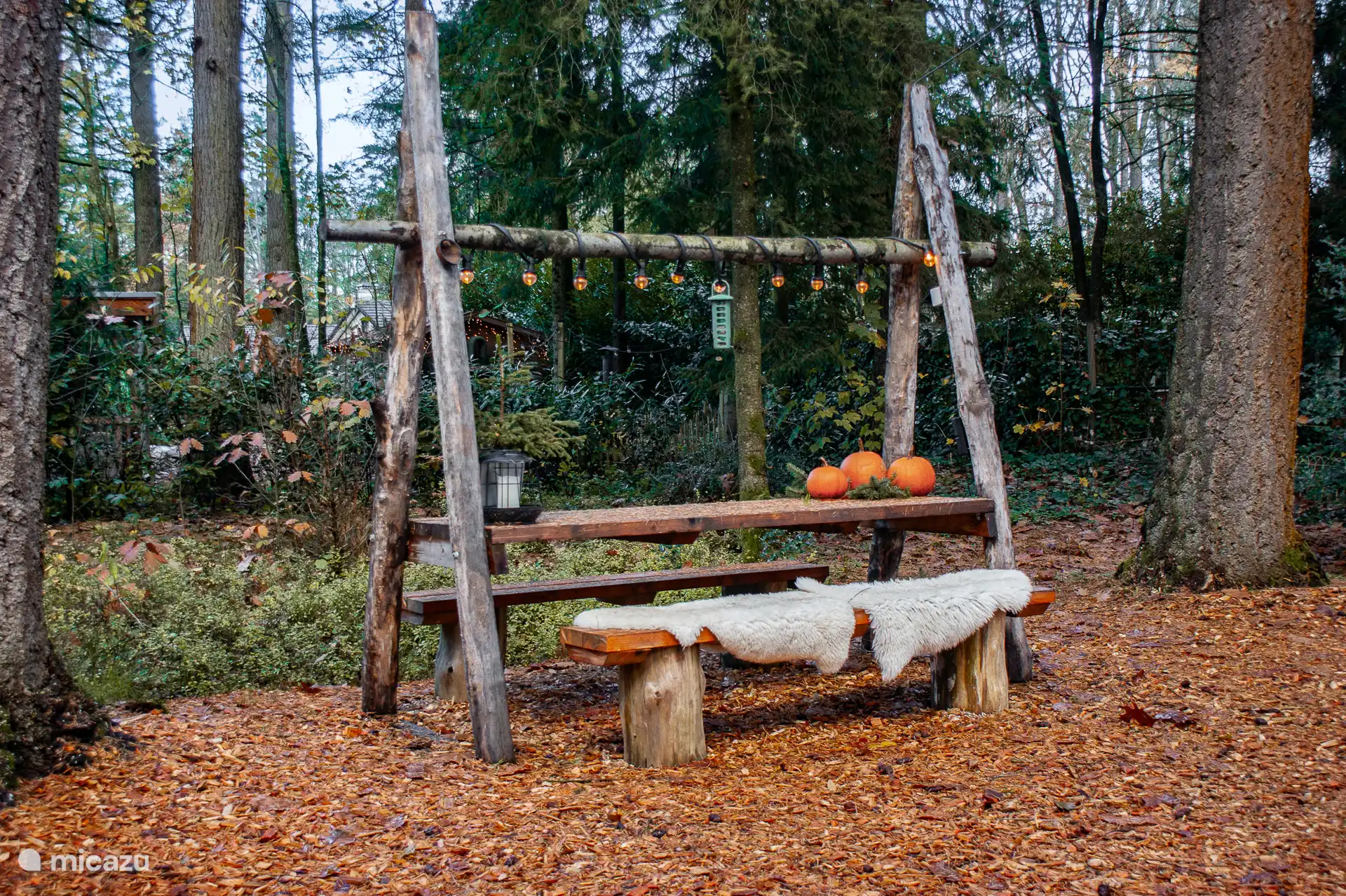 Tuin Woodlandlodge