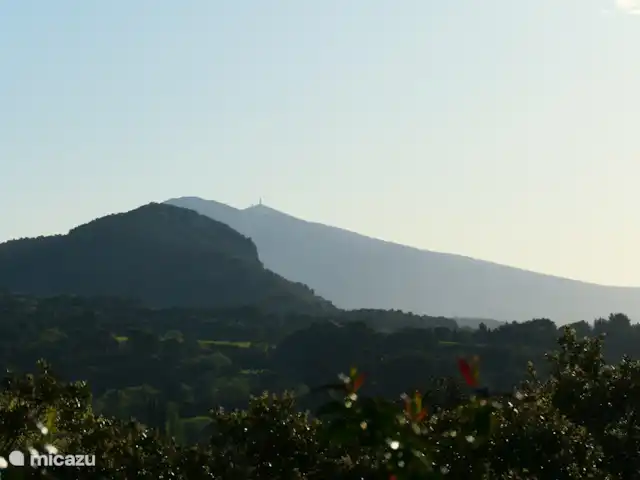 Location vacances St-Anne-caractère | France, Vaucluse, Beaumes-de-Venise - maison de vacances Vue depuis la terrasse. Mont-Ventoux