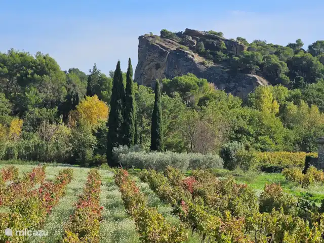 Location vacances St-Anne-caractère | France, Vaucluse, Beaumes-de-Venise - maison de vacances Rocalinaud Beaumes de Venise. À quelques pas de la porte d’entrée.