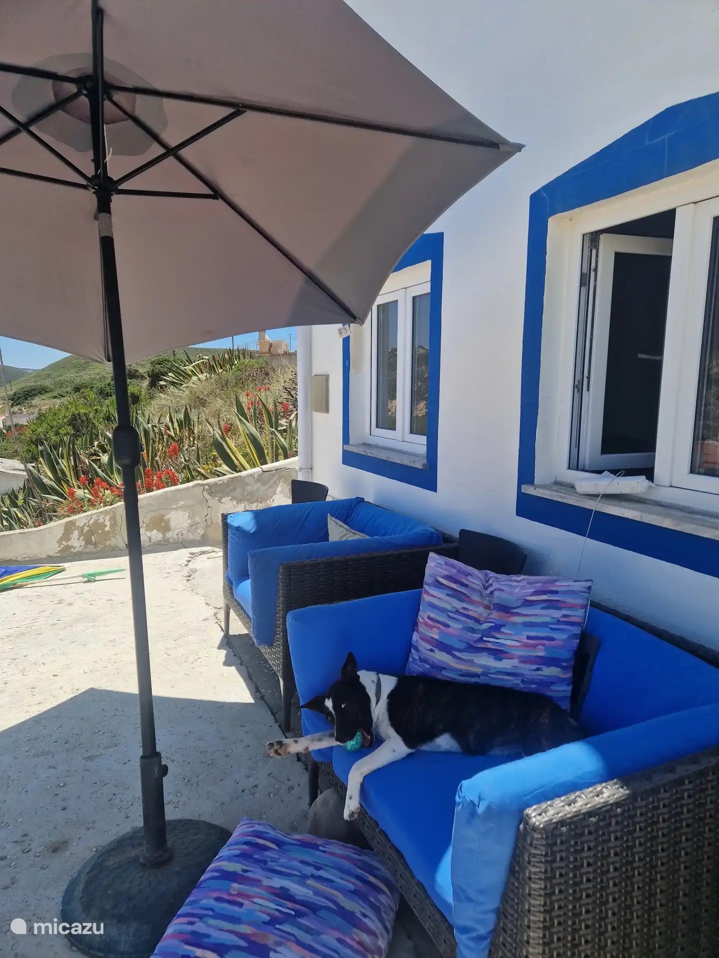 front side terrace, perfect plsce for your morning coffee