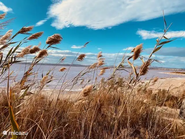 Pour les amoureux de la nature, une visite au lac rose vaut la peine.