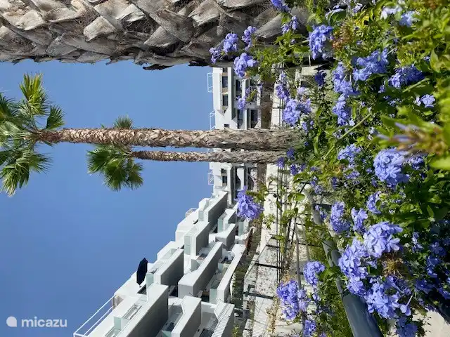 Profitez du jardin magnifiquement aménagé de notre résidence.
